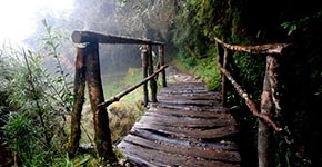 Camino Inca Machu Picchu