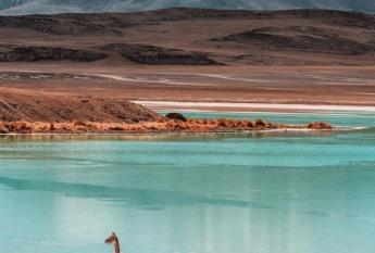 Volcan Thunupa Bolivia