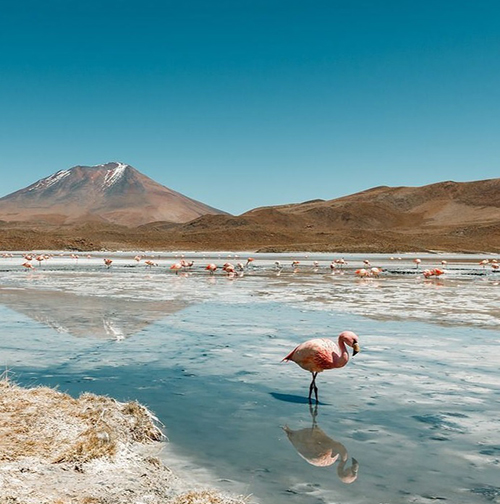 Laguna Hedionda