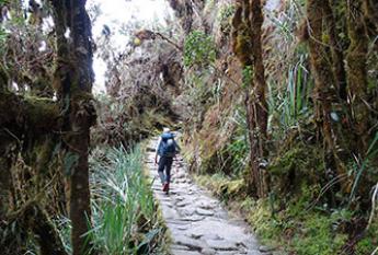 Camino Inca a Machupicchu