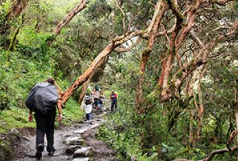 Camino Inca a Machupicchu