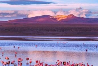 Laguna Colocada Uyuni Bolivia