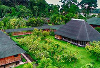 Selva Perú eco Amazonía Lodge