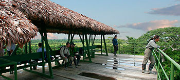 SELVA-MIRADOR-amazonico.jpg