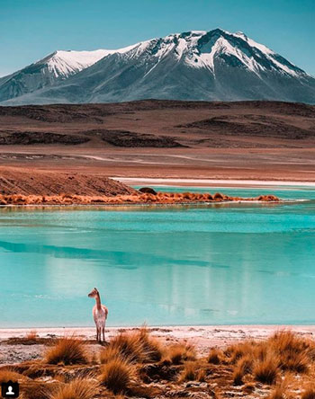 bolivia-tunupa-volcan.jpg